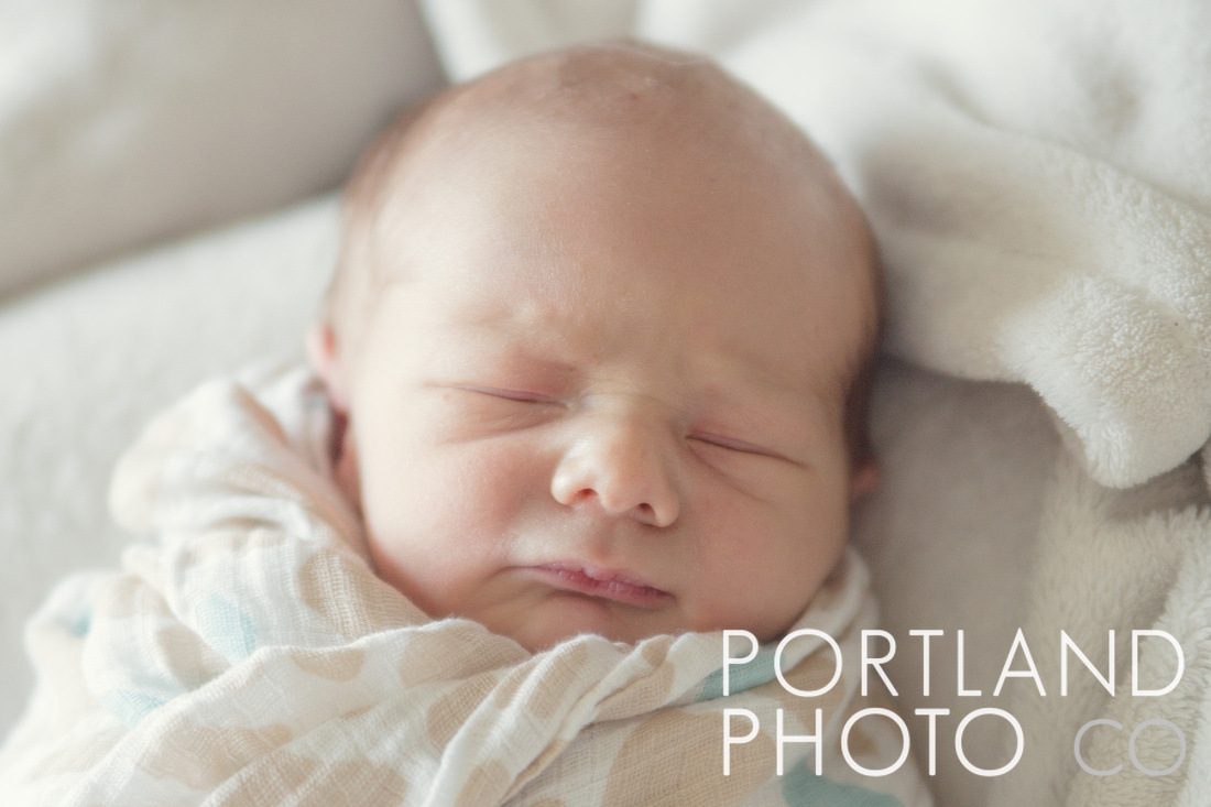 "Maine Newborn Photography"