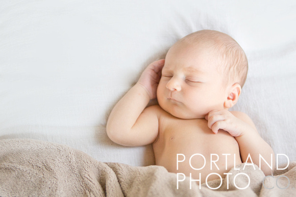 "maine newborn photographer"