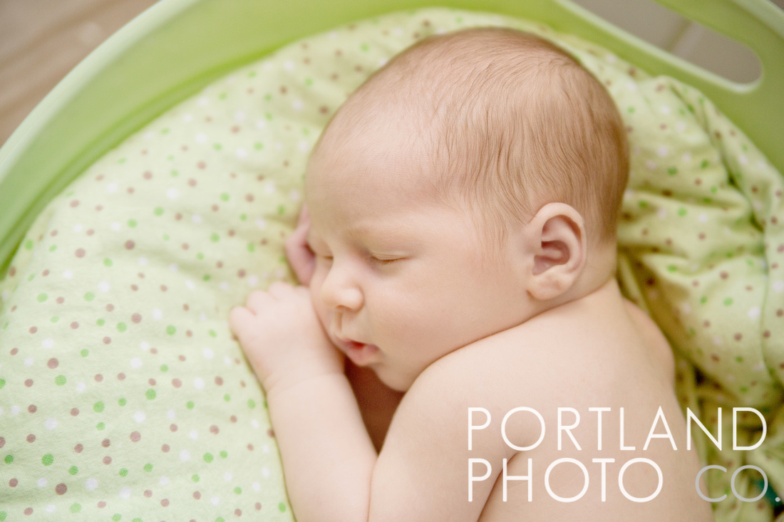 "maine newborn photographer"