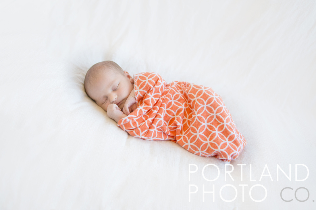 "maine newborn photographer"
