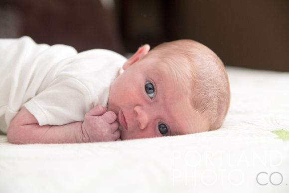 Maine Newborn Photographer - Portland Photo Co.