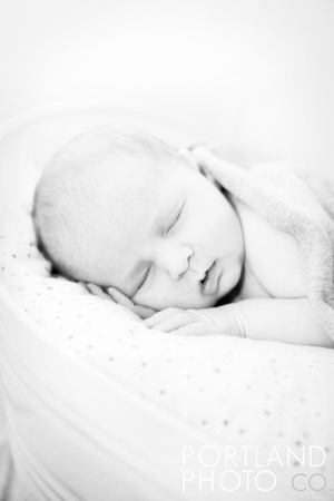 "maine newborn photographer"