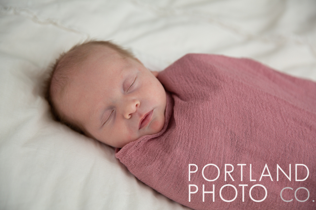 Maine Newborn Photographer - www.portlandphotoco.com