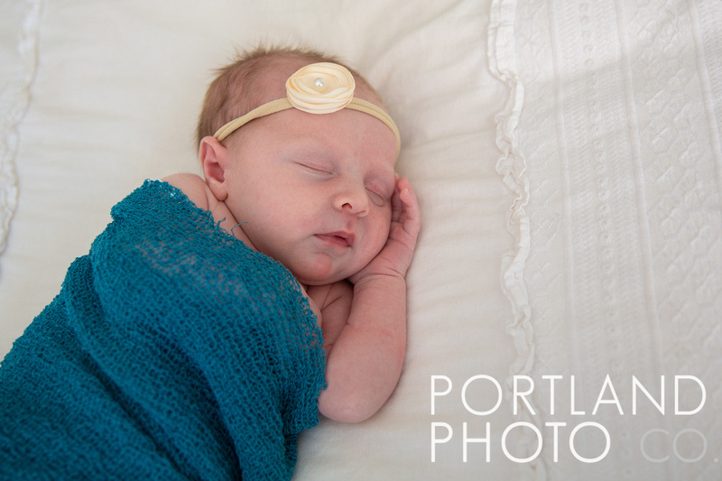 Maine Newborn Photographer - www.portlandphotoco.com