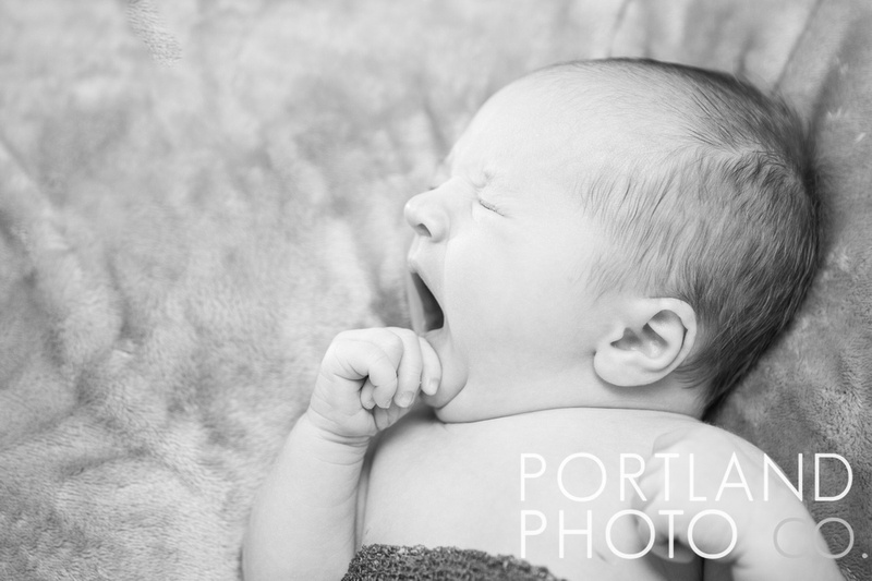Maine Newborn Baby, Harpswell Newborn Photographer, 