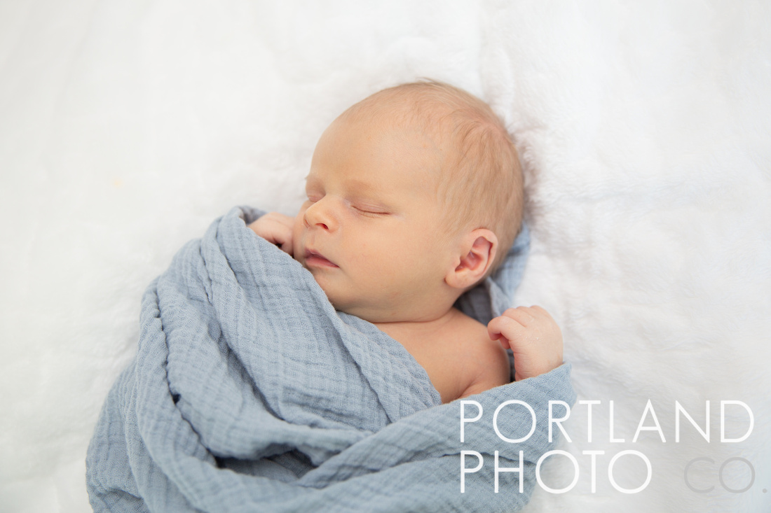 Maine Newborn Photos
