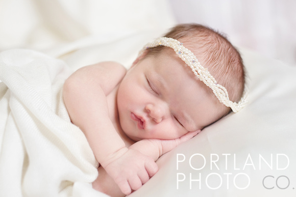 "Maine Newborn Photographer" Portland Photo Co.